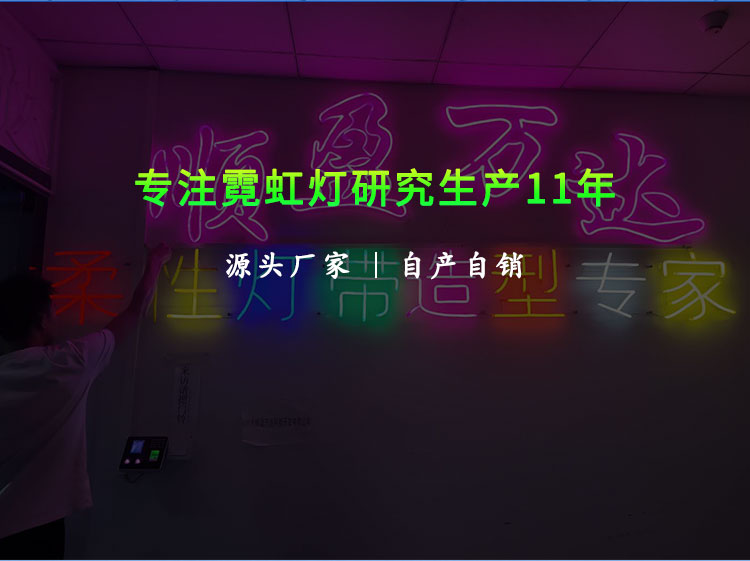 12V RGB 霓虹灯